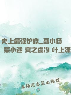 史上最强炉鼎